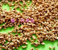 (yu)|(zh)ҚҚ(ͣҚw